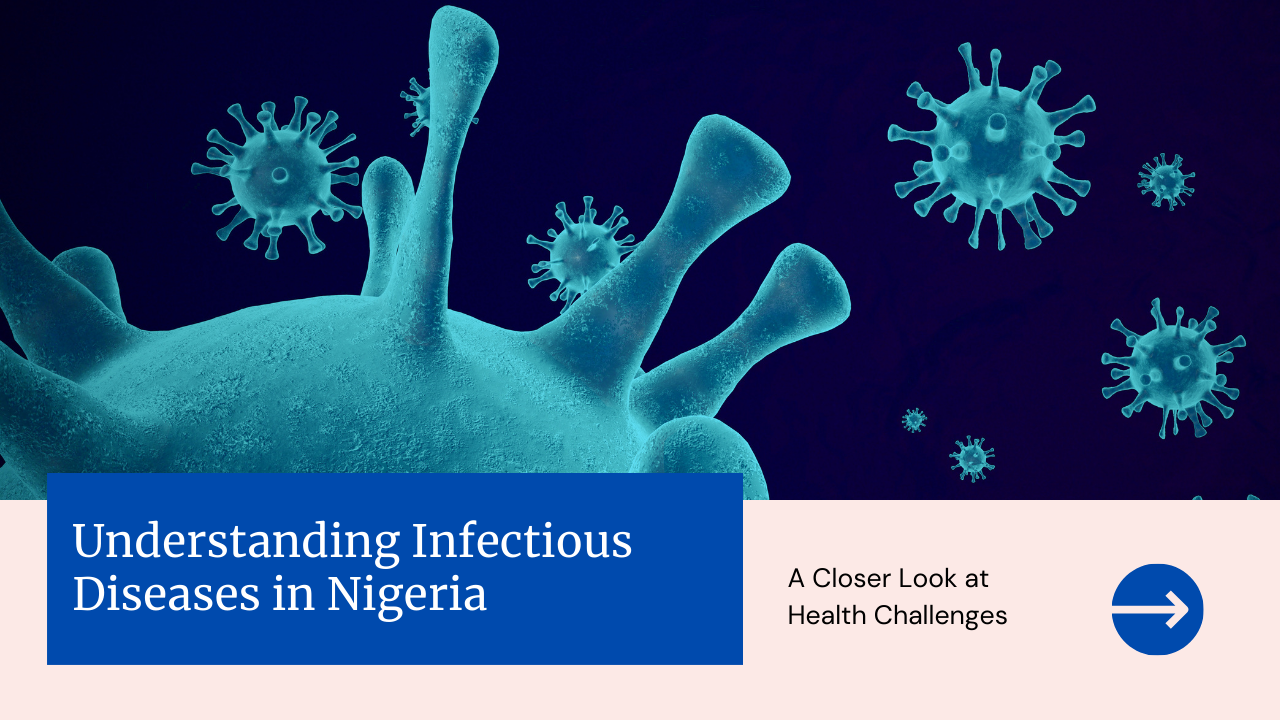 The Burden Of Infectious Diseases In Nigeria And Control Strategies